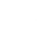 ingenieria estrella