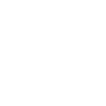 pan american